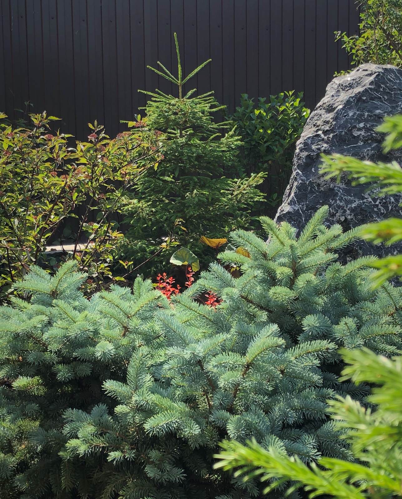 Роман с камнем