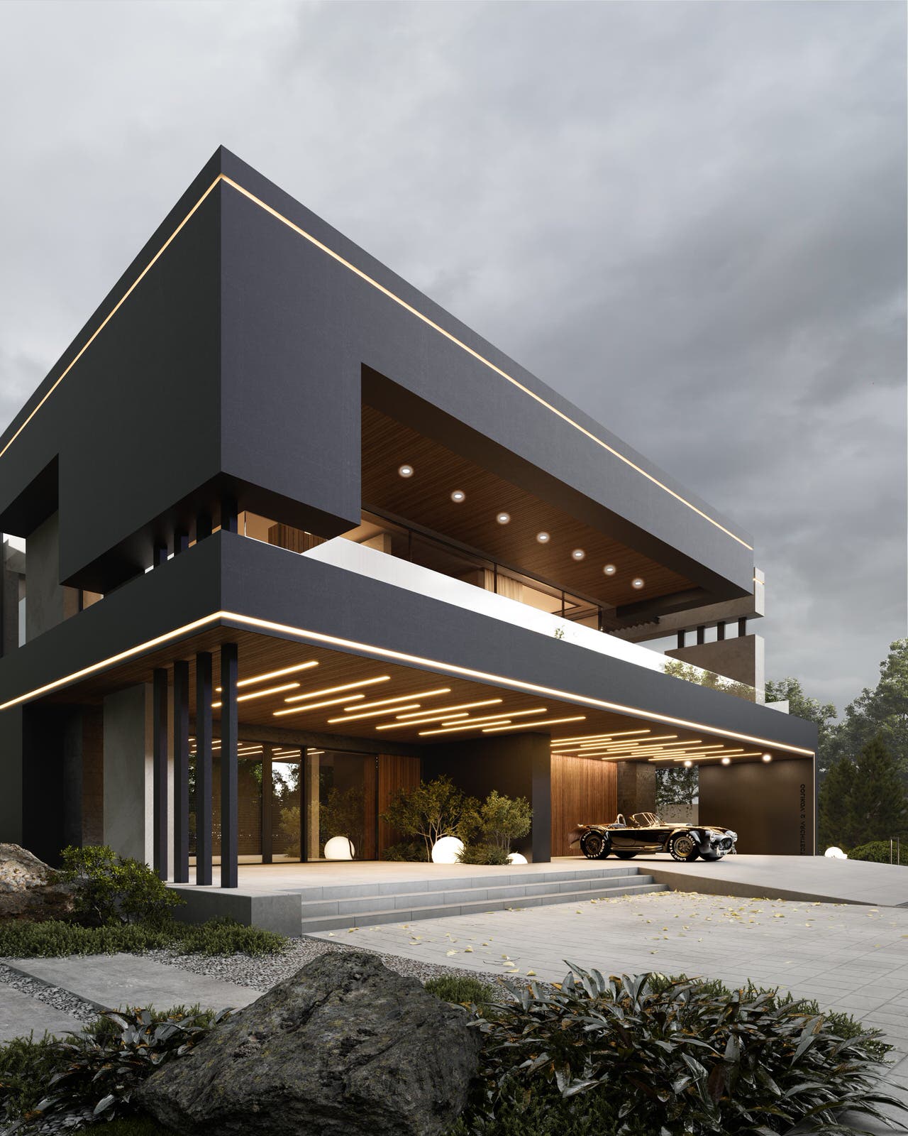 Обложка проекта: BLACK COBRA