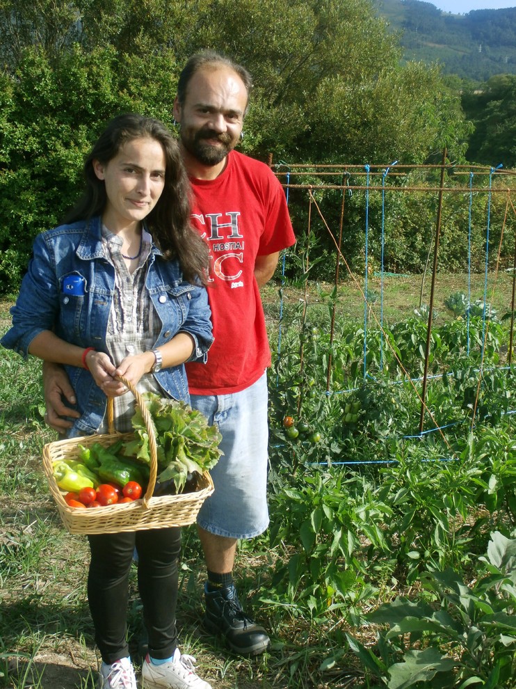 Мир дизайна: 10 огородников-любителей показывают урожай со своих грядок
