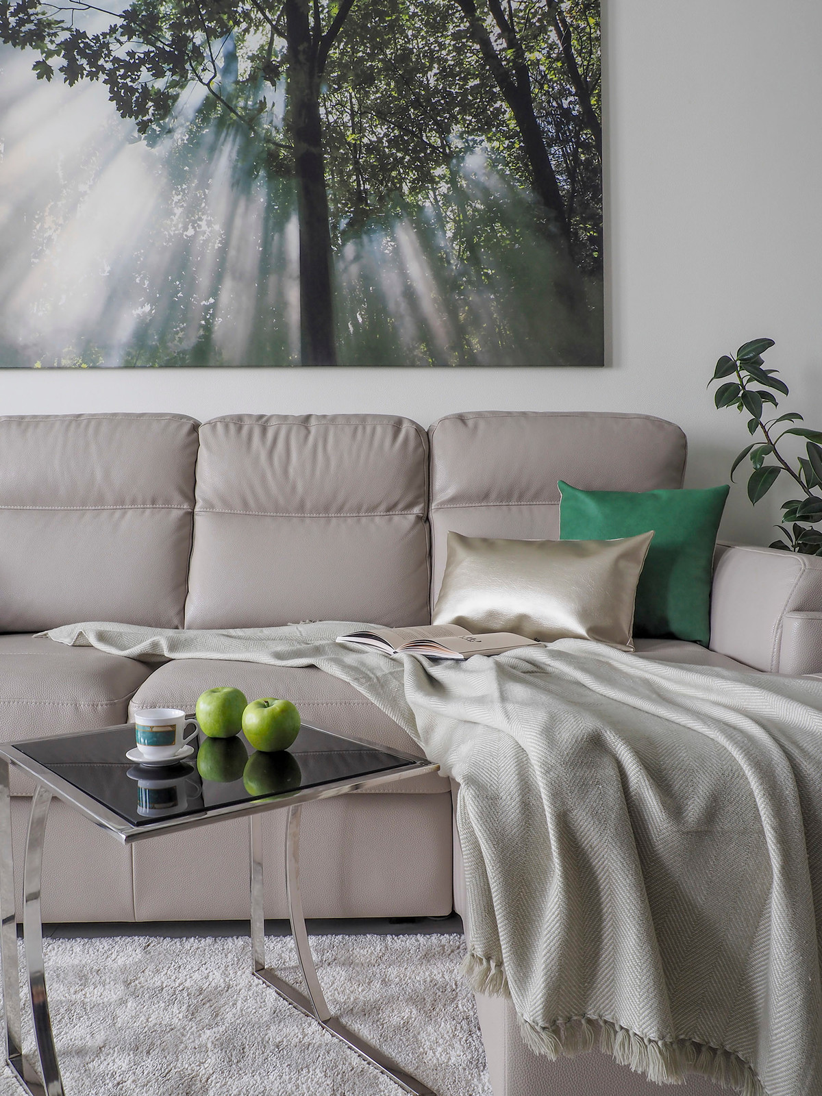 Частная квартира в ЖК "Цветы", 2016