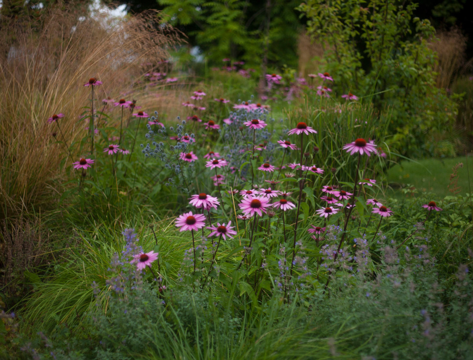 Обитель ветров, сад в Тверской области