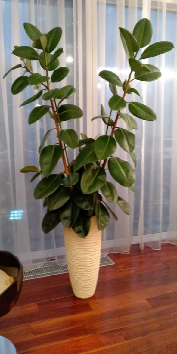 Аппартаменты в Москва Сити