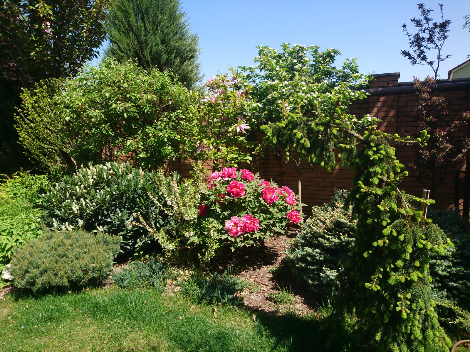 Черноморская