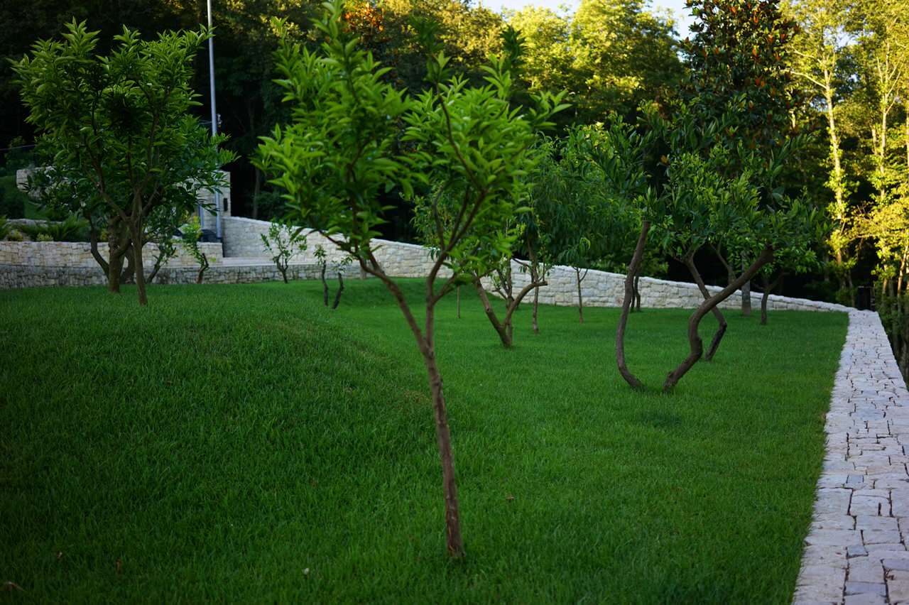 Лазурный Берег Сочи