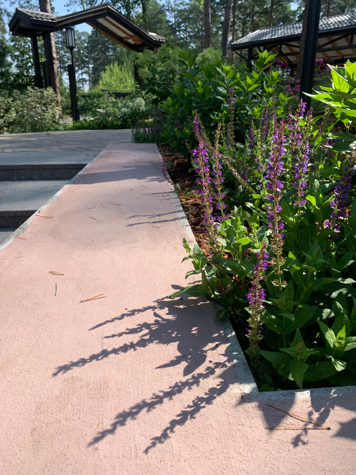 Таргайские усадьбы