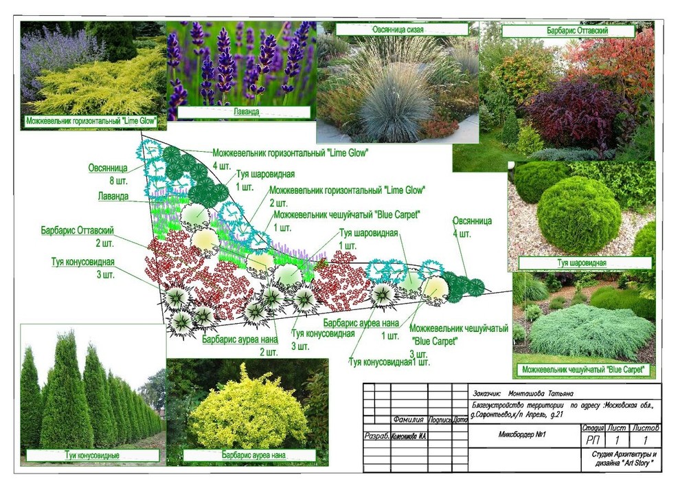 Ландшафтный дизайн - проект 40 соток