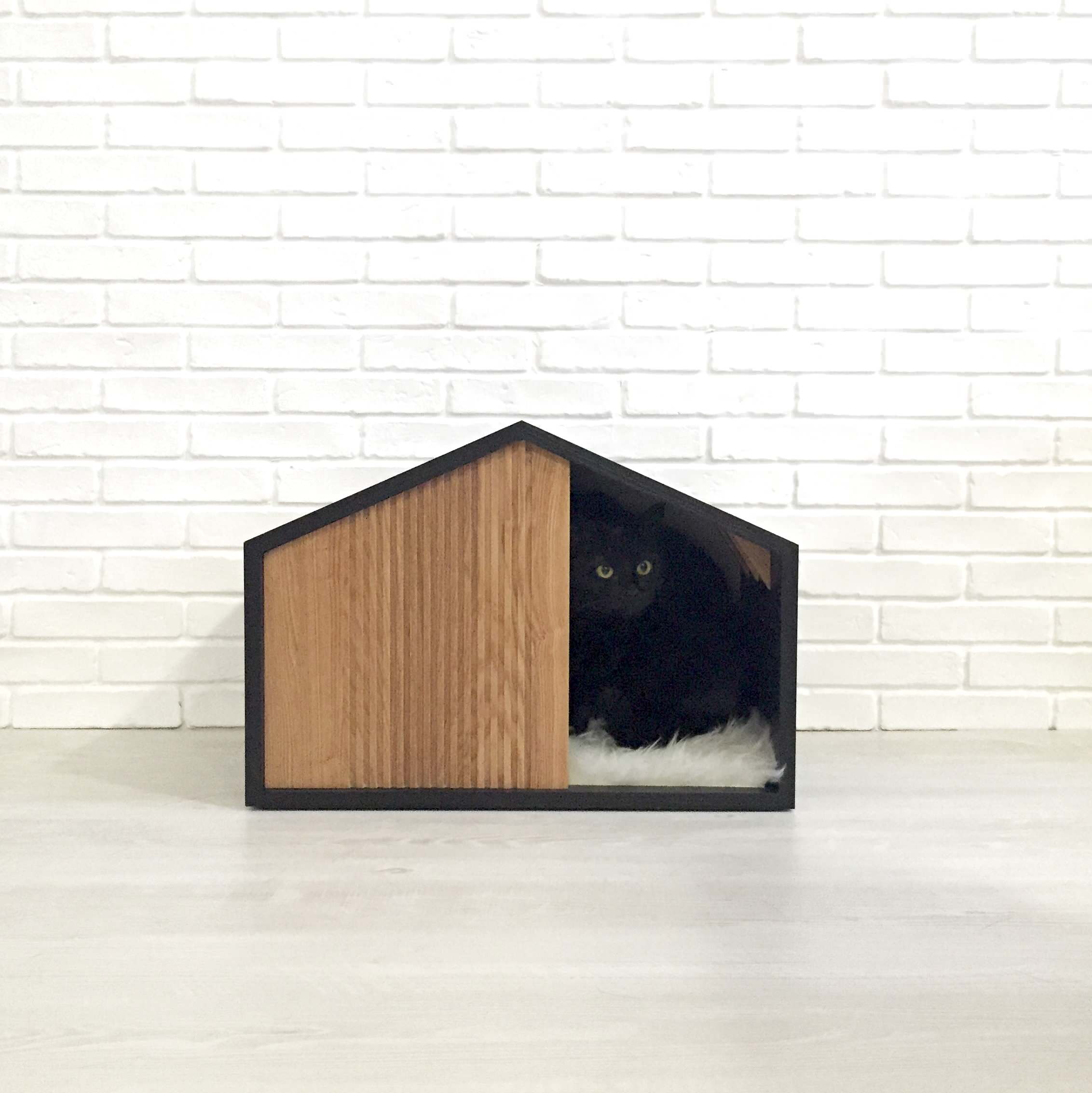 Портрет: Мебель для хвостатых питомцев от Pettel Design