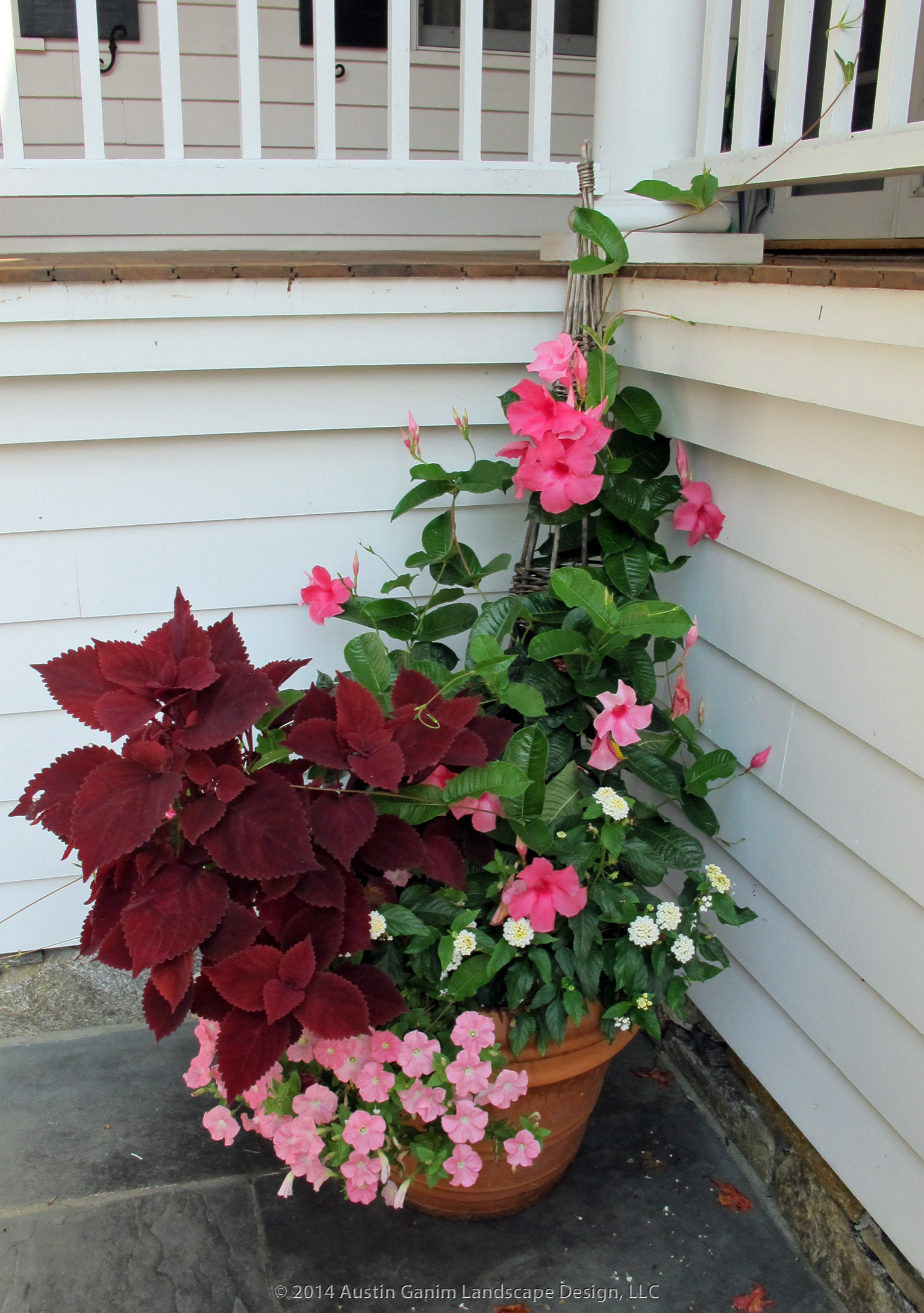 Сад в контейнере: 11 эффектных композиций для вашего балкона