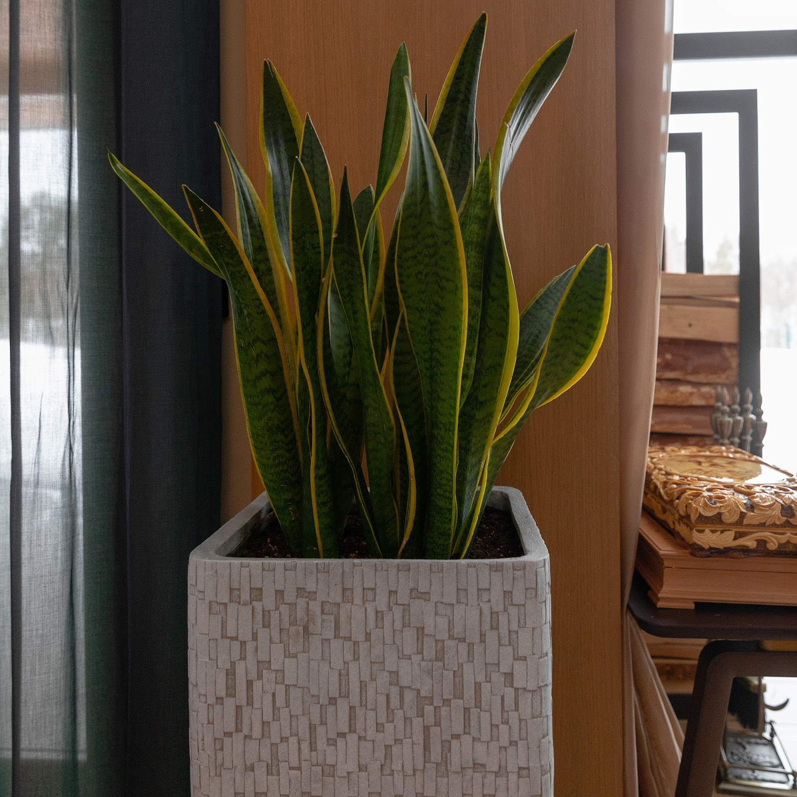 Озеленение загородного дома в Ленинградской области