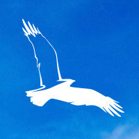 Анастасия Анастасия