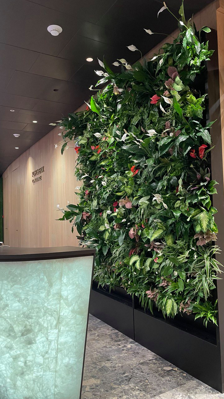 Всесезонный отель "Манжерок"