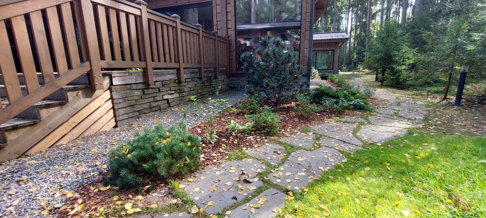 Гармония леса