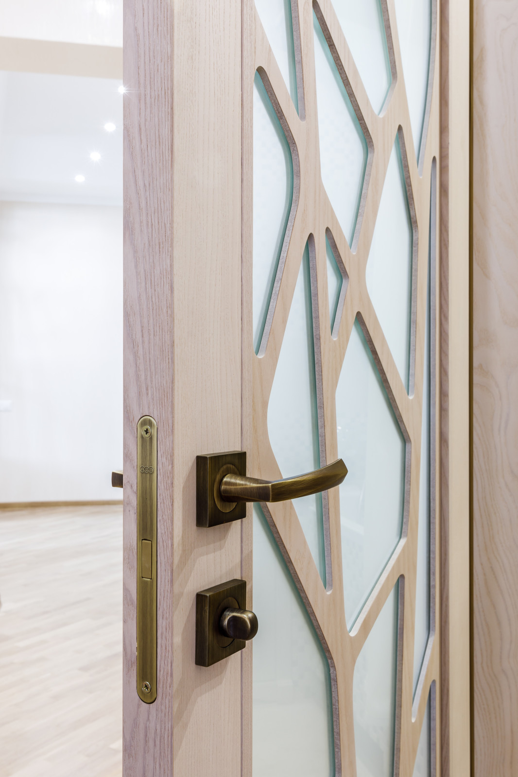 Авторские перегородки и двери в современной стиле "Fantasy"