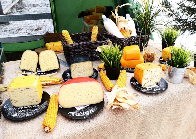 Зима в провинции: Чему учиться на фермах под Москвой