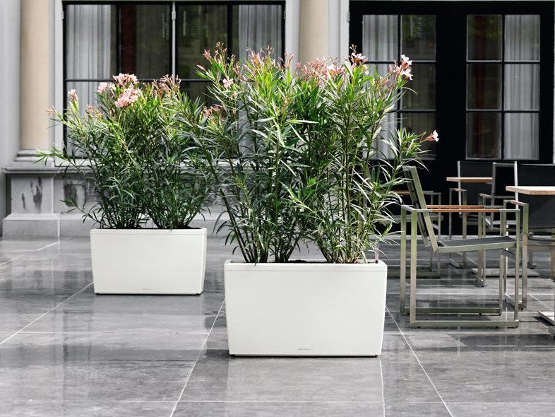 На вершине моды!