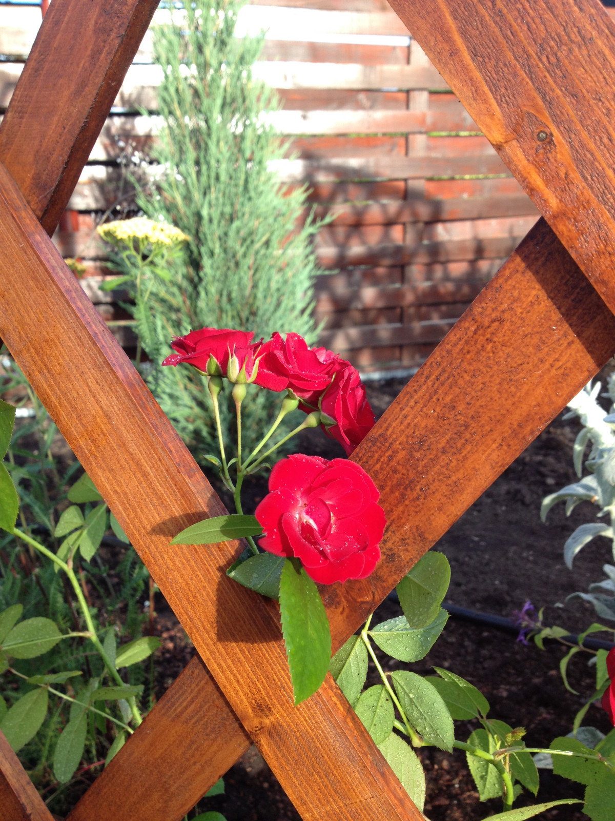 Юлия и Александра