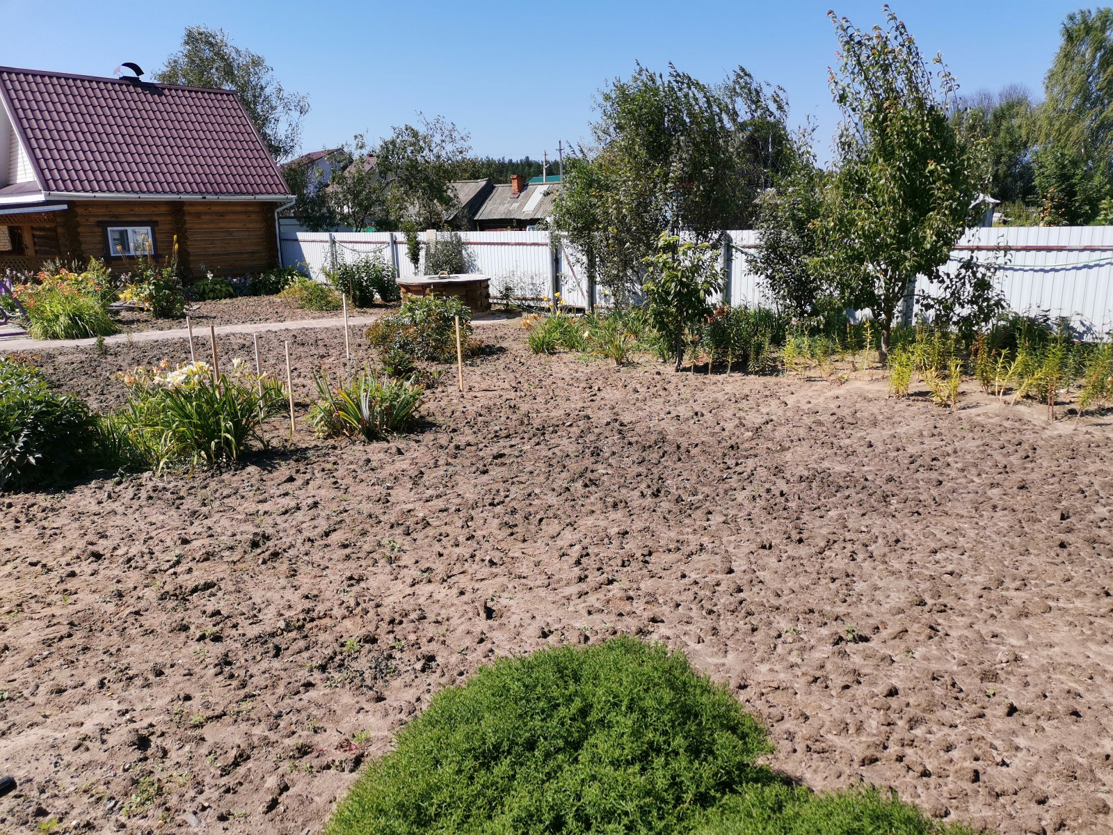 Кокшайск. Пергола – качель, шпалерный забор и обновление участка.