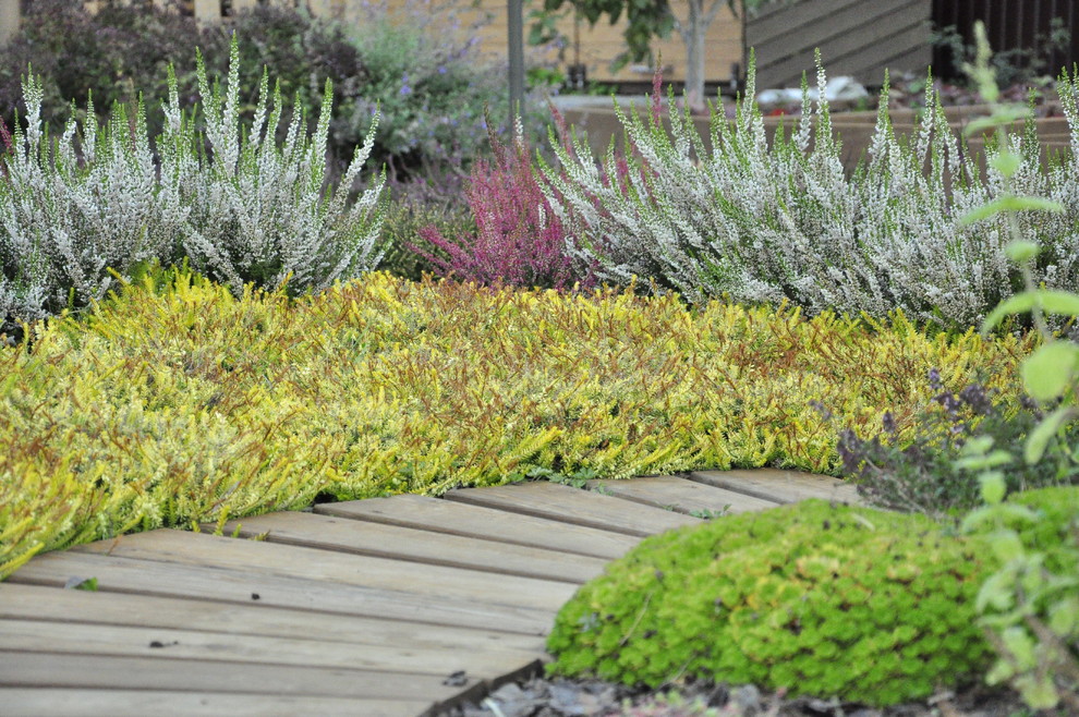 Ландшафт: Изъяны участка, которые сложно исправить