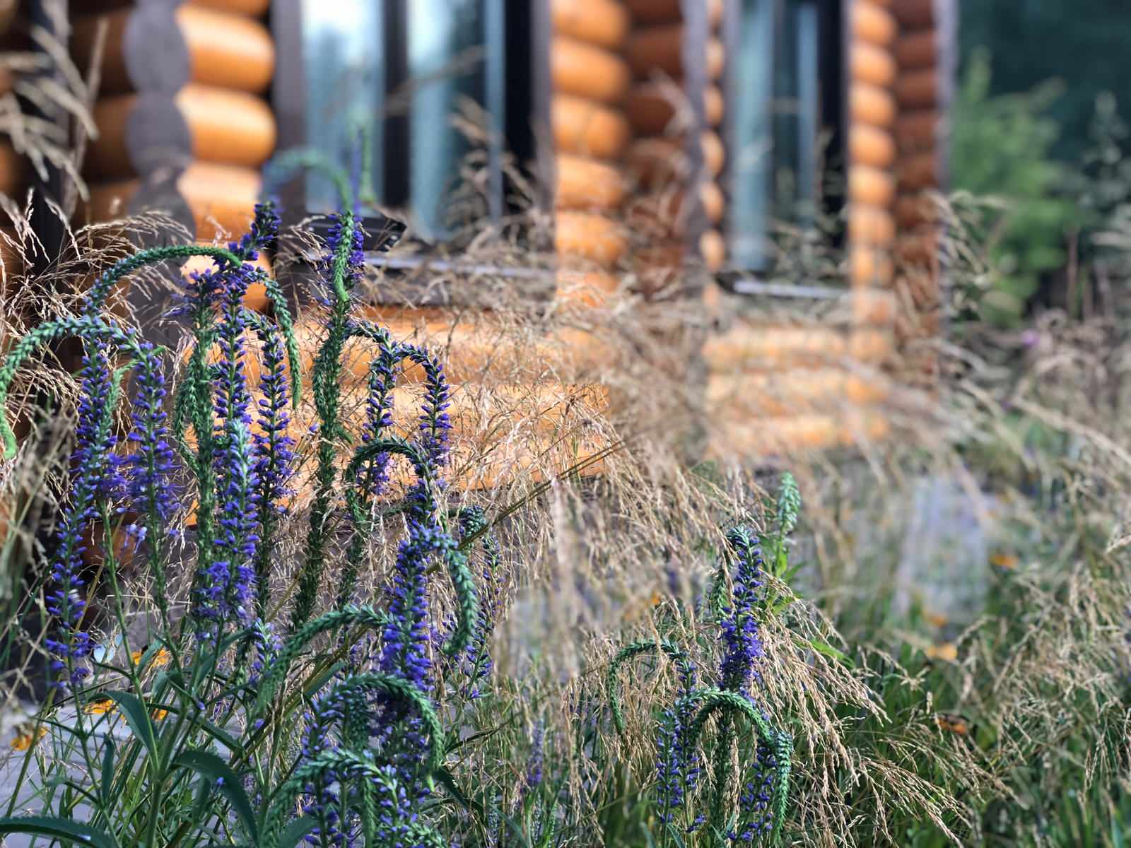 Русские Забавы, лето 2018, первый год жизни сада