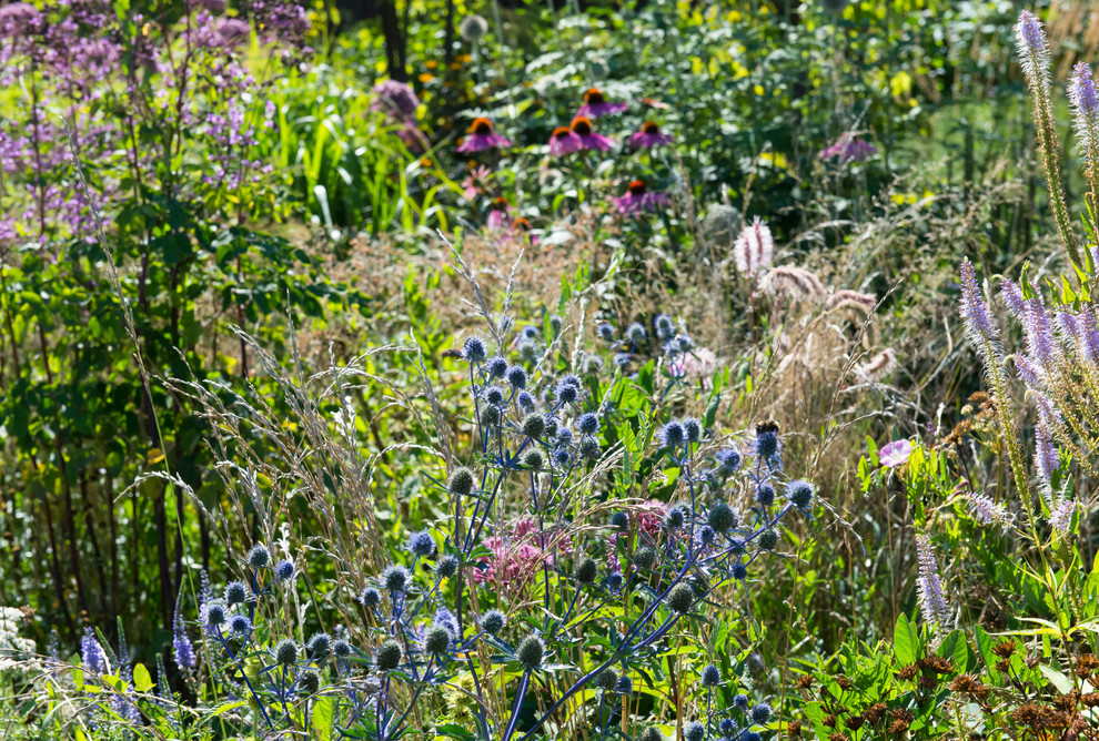 Большой сад в пригороде