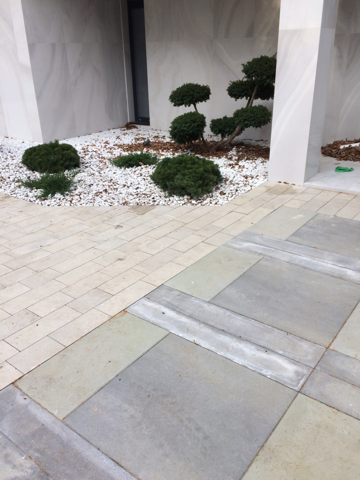 Сад в Светлогорском лесу