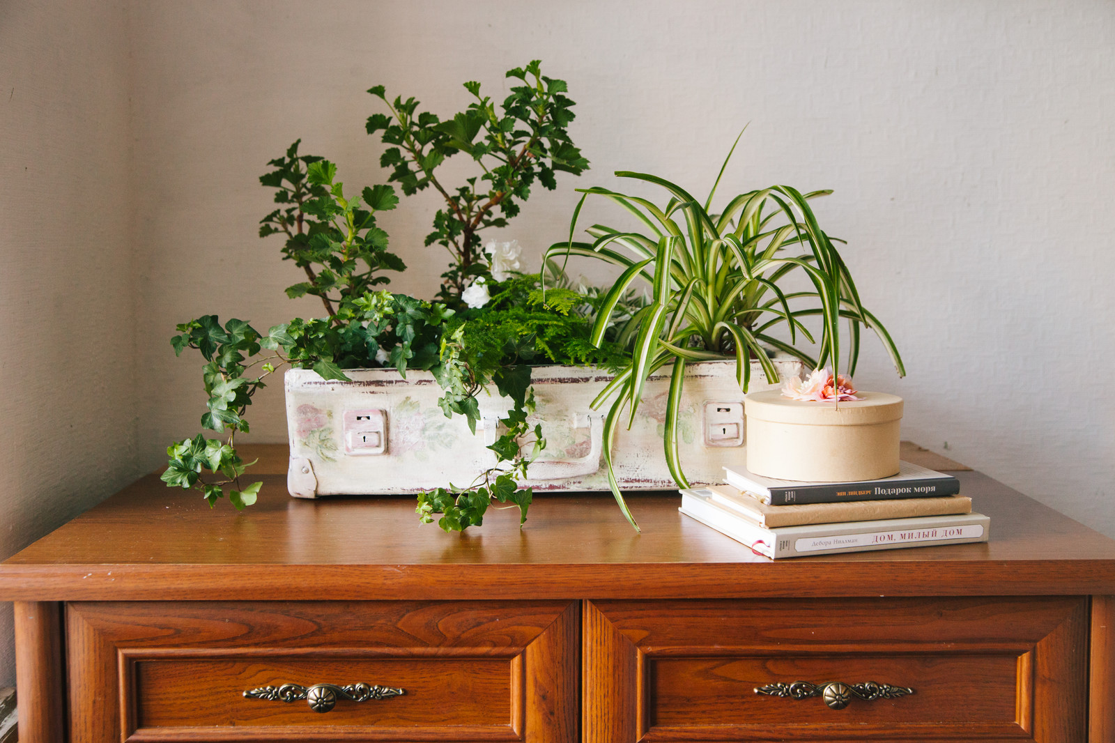 Тина Хабарова