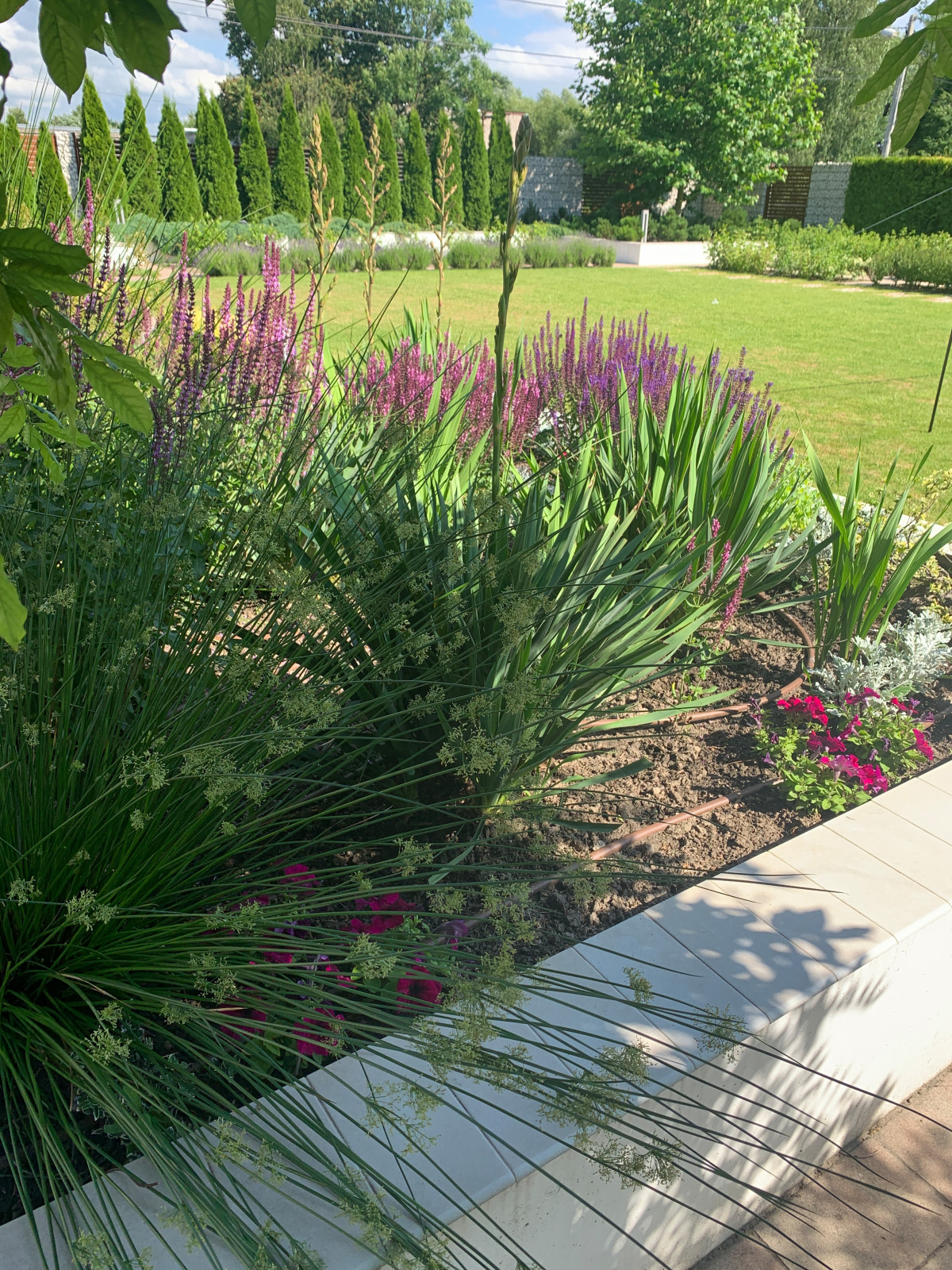 Семейный сад