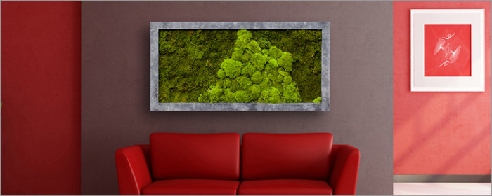 Фитокартины