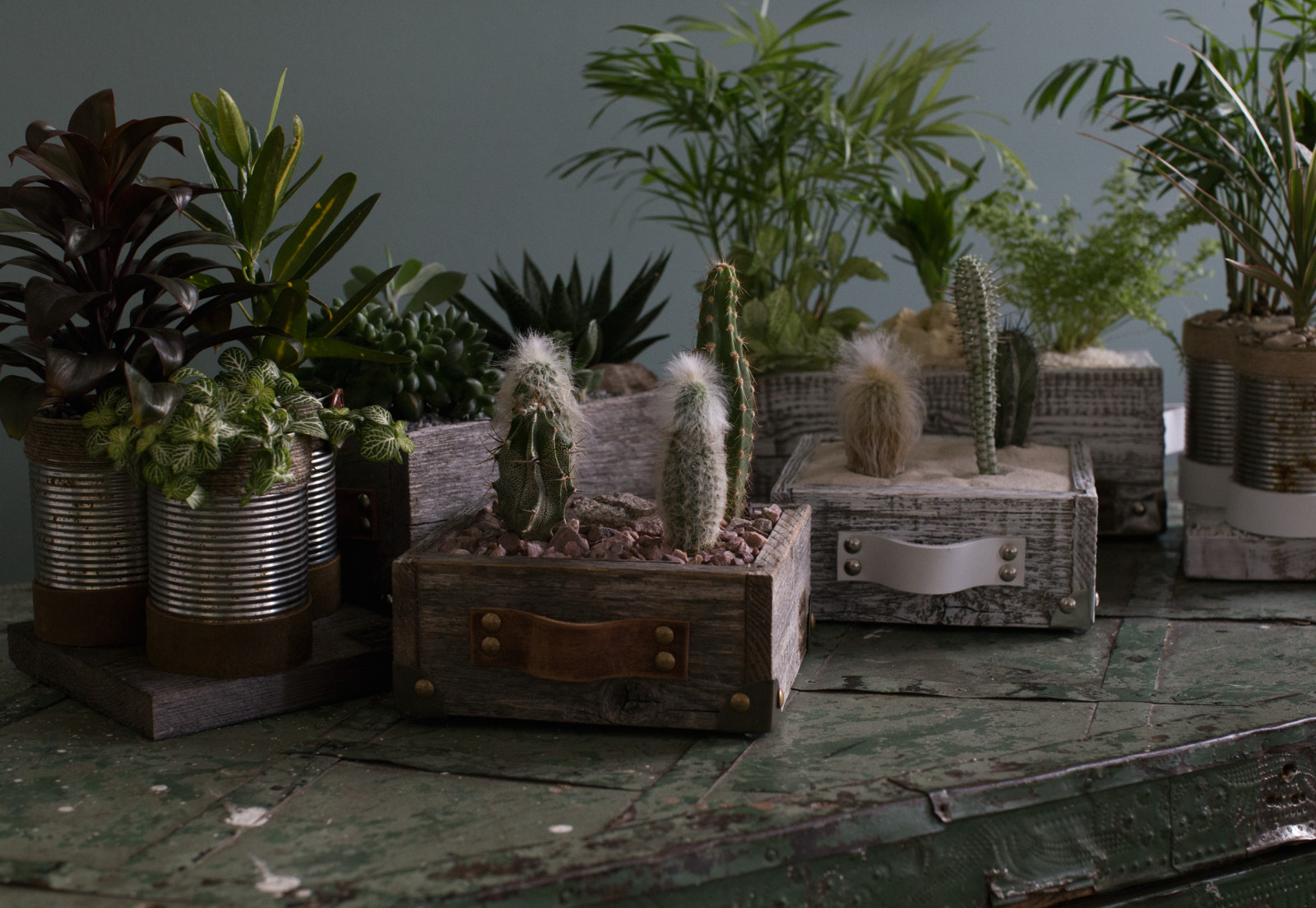 Bionica Project Market