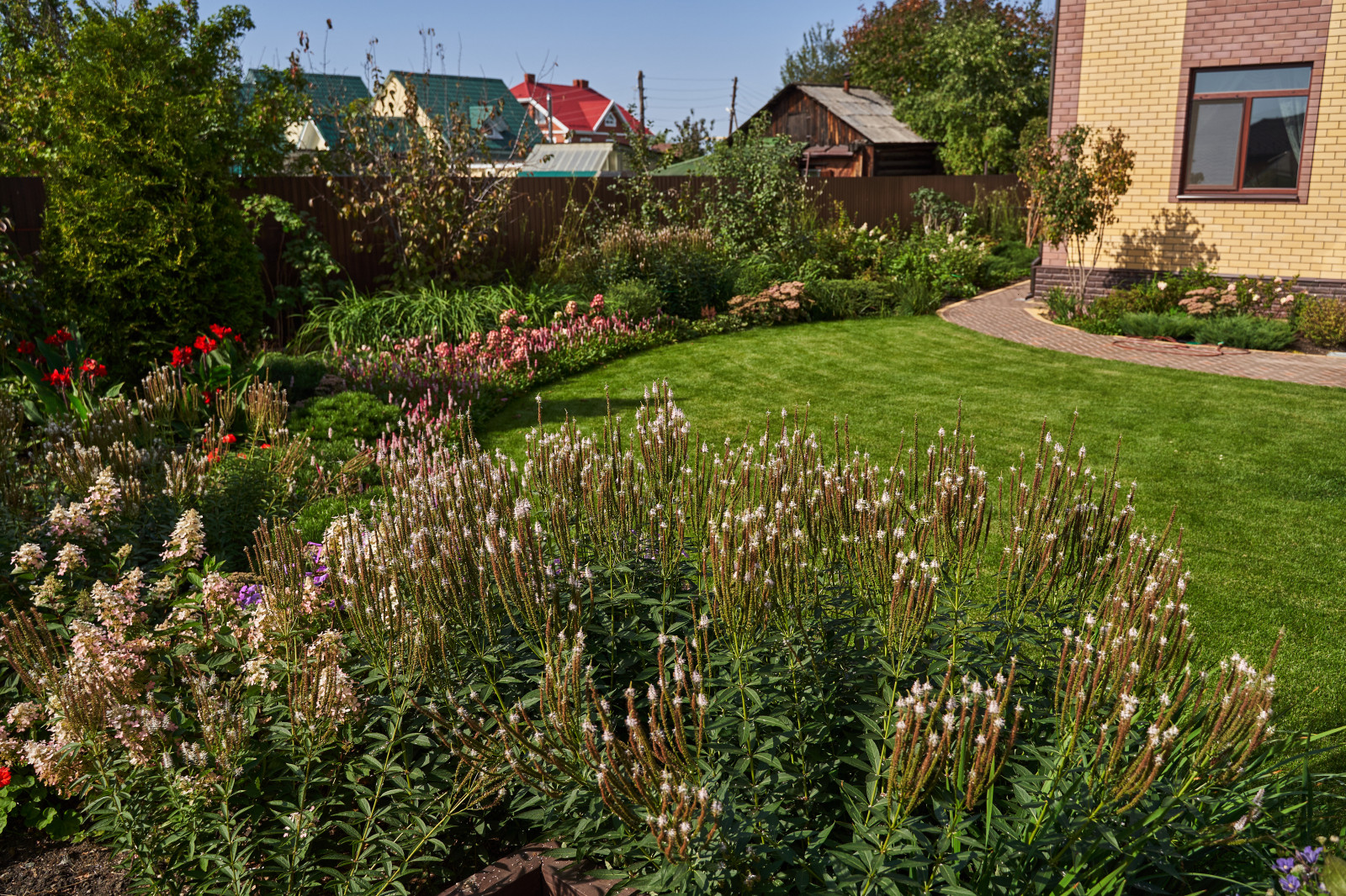Сад в розовой дымке