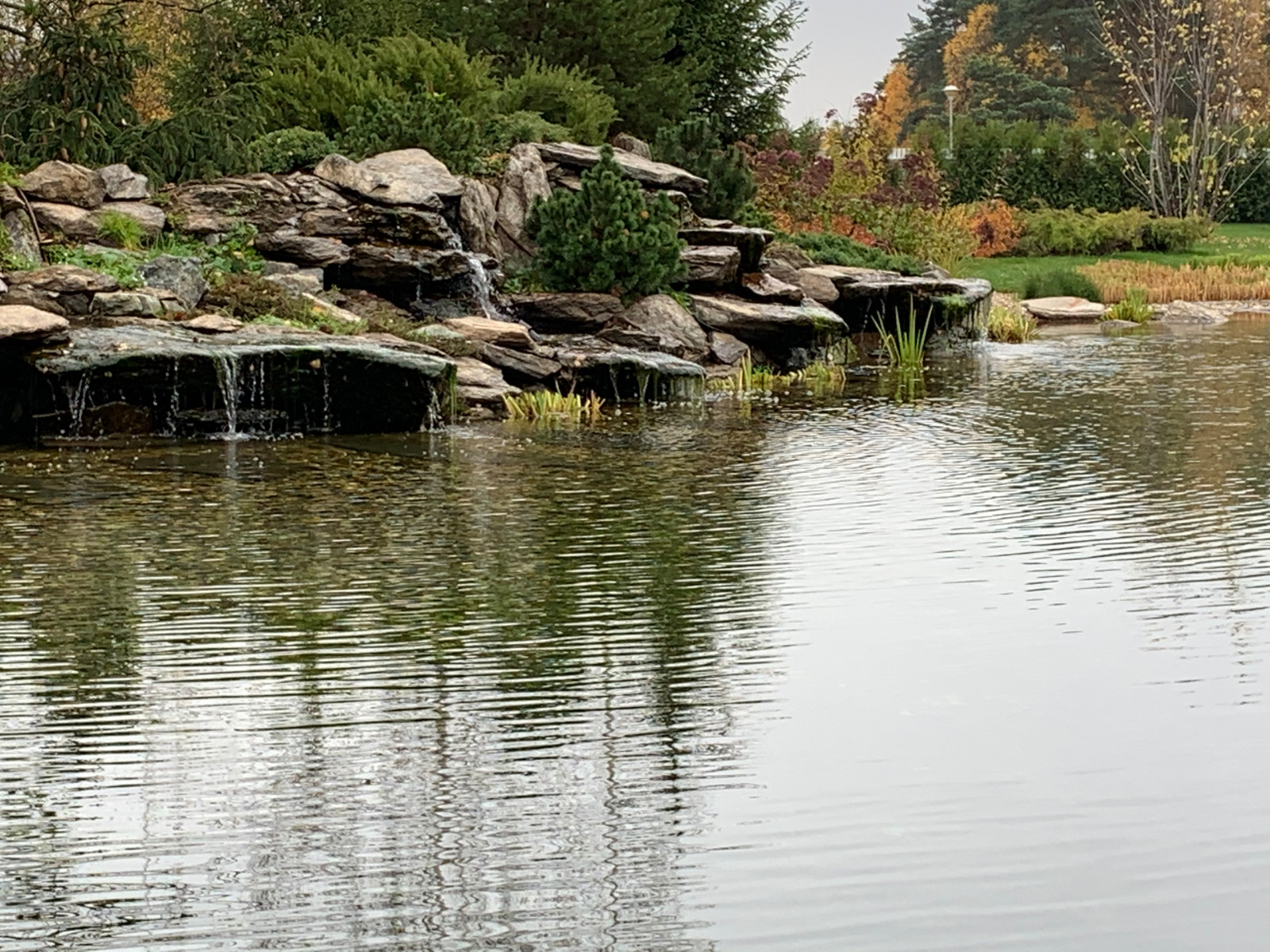 Проект сада с водоемом