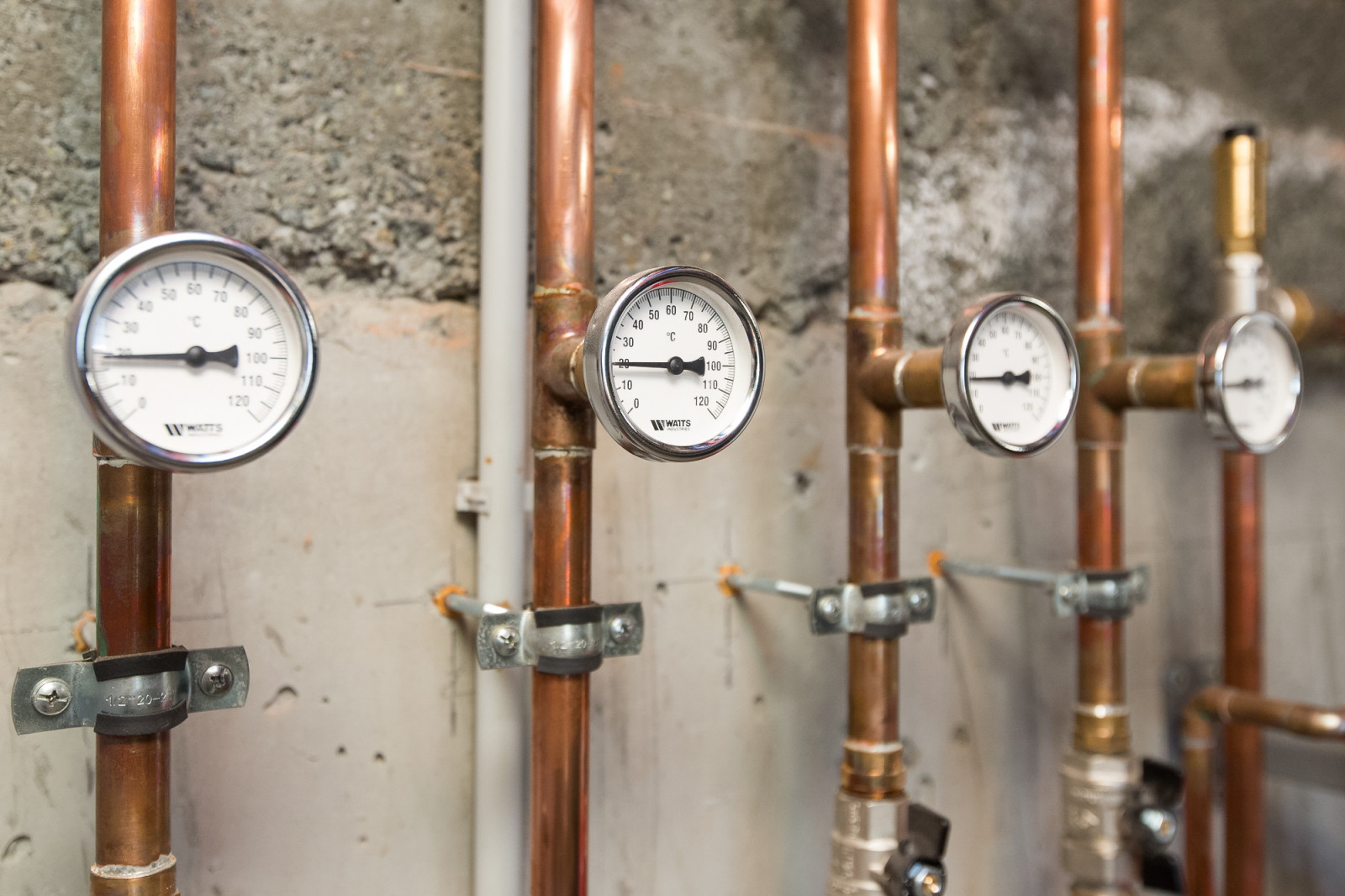 Обложка проекта: Дом в п. Вавиловец