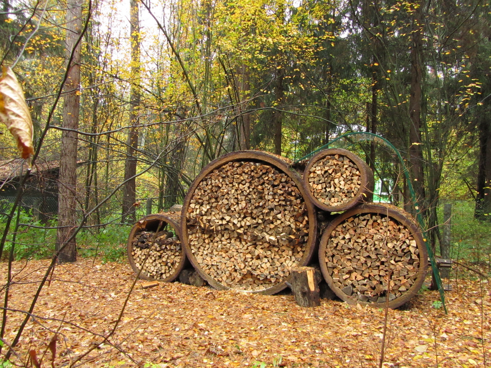 Елена Герасимова