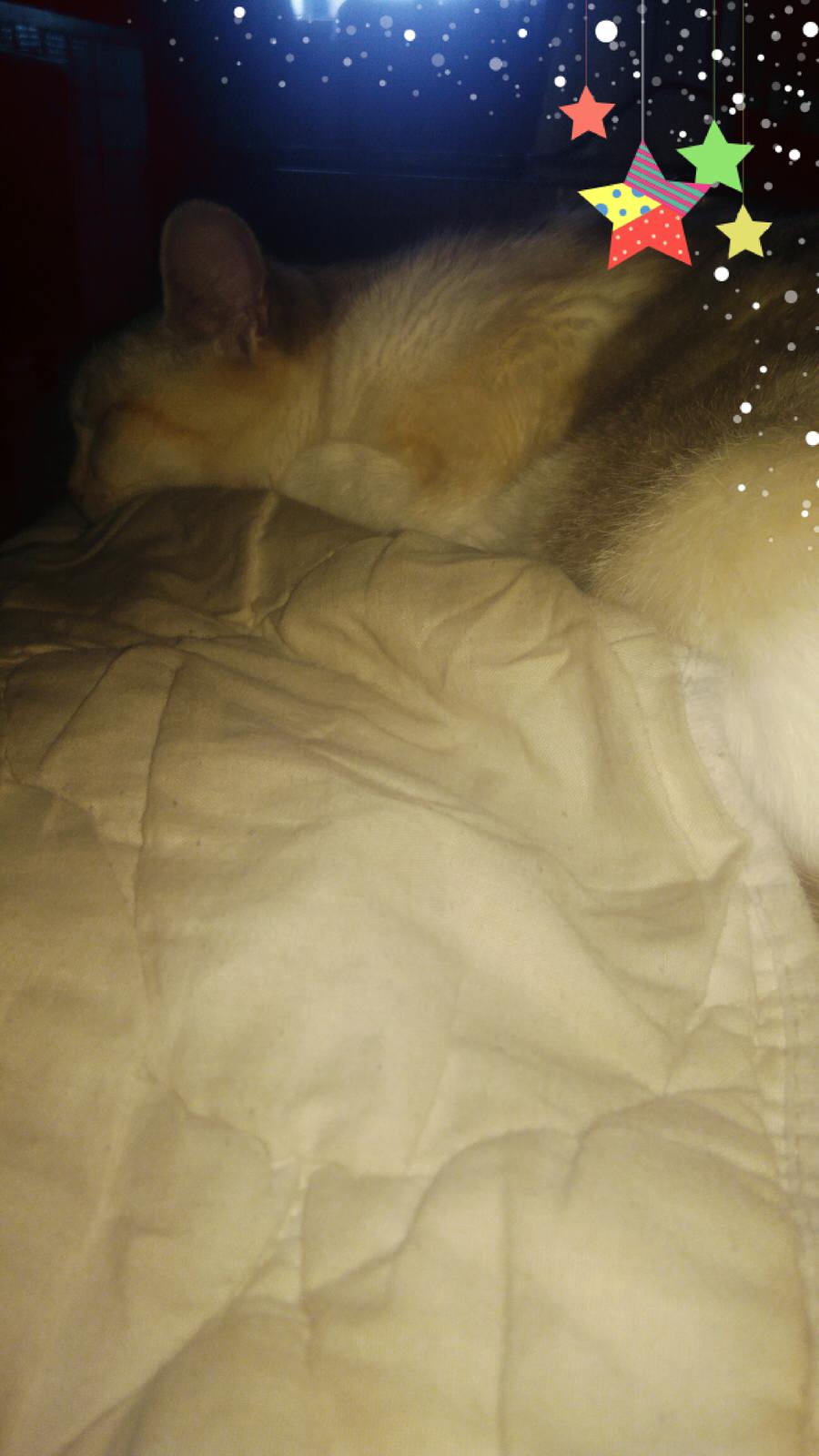 ивановdjshbd 828282владимир