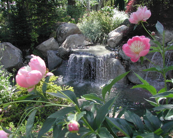 Ландшафтный дизайн на лесном участке