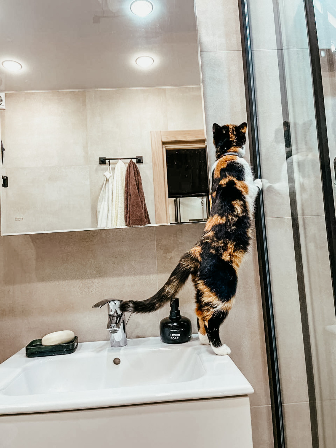 Совмещение санузла в Люблино