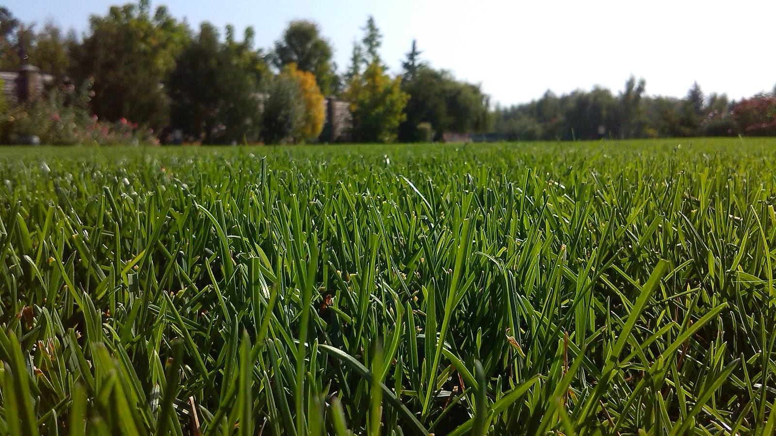 Обложка проекта: Уголок где хочется жить