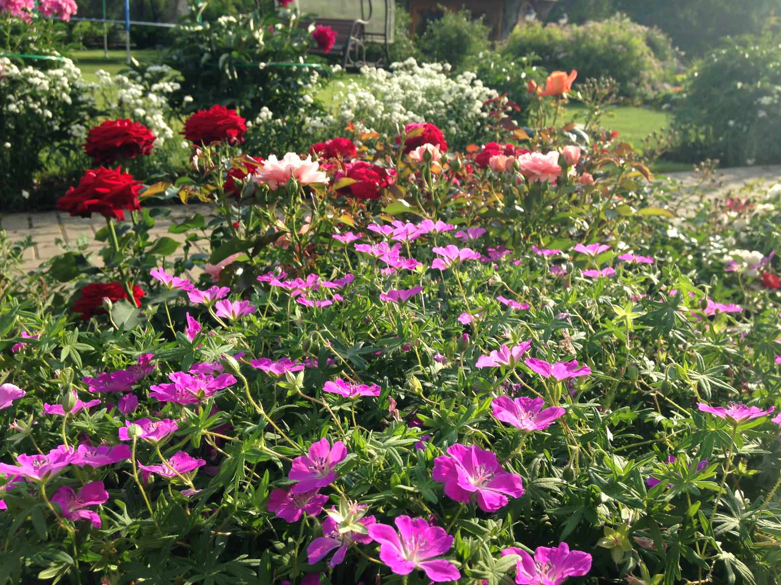 Городской сад