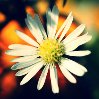 Ирина Краюшкина