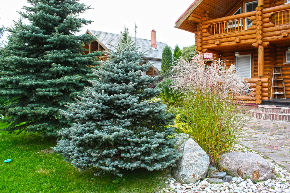 Хвойные и злаковые травы в ландшафтном дизайне.