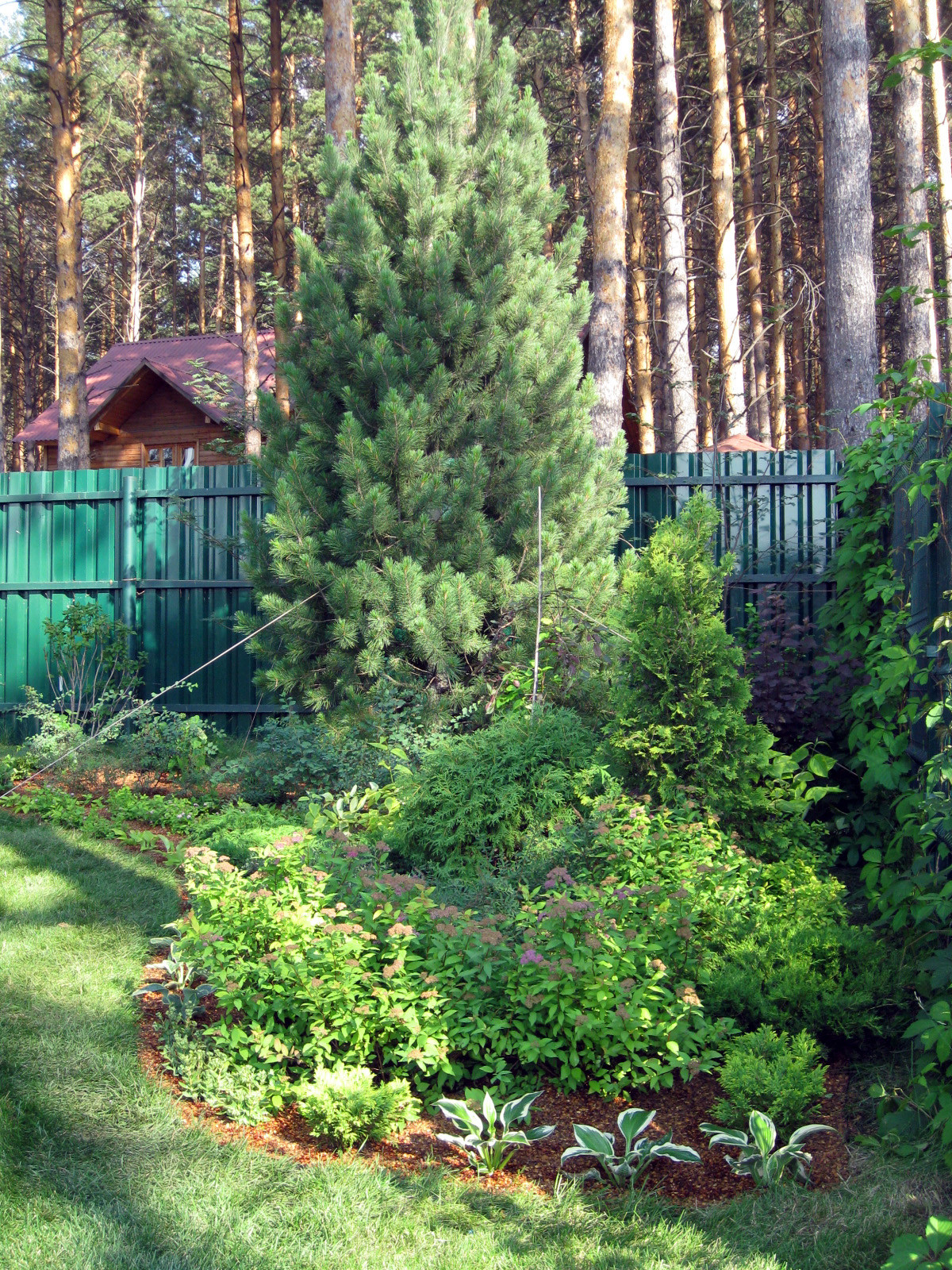 Декоративные посадки