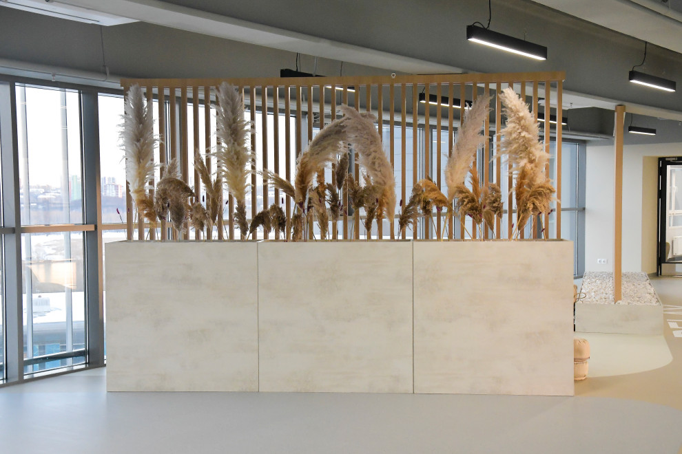 Обложка проекта: Мой проект