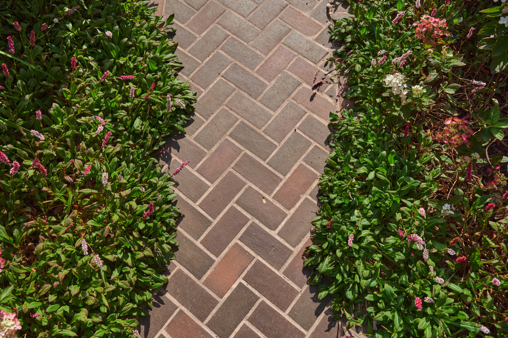 Сад в розовой дымке