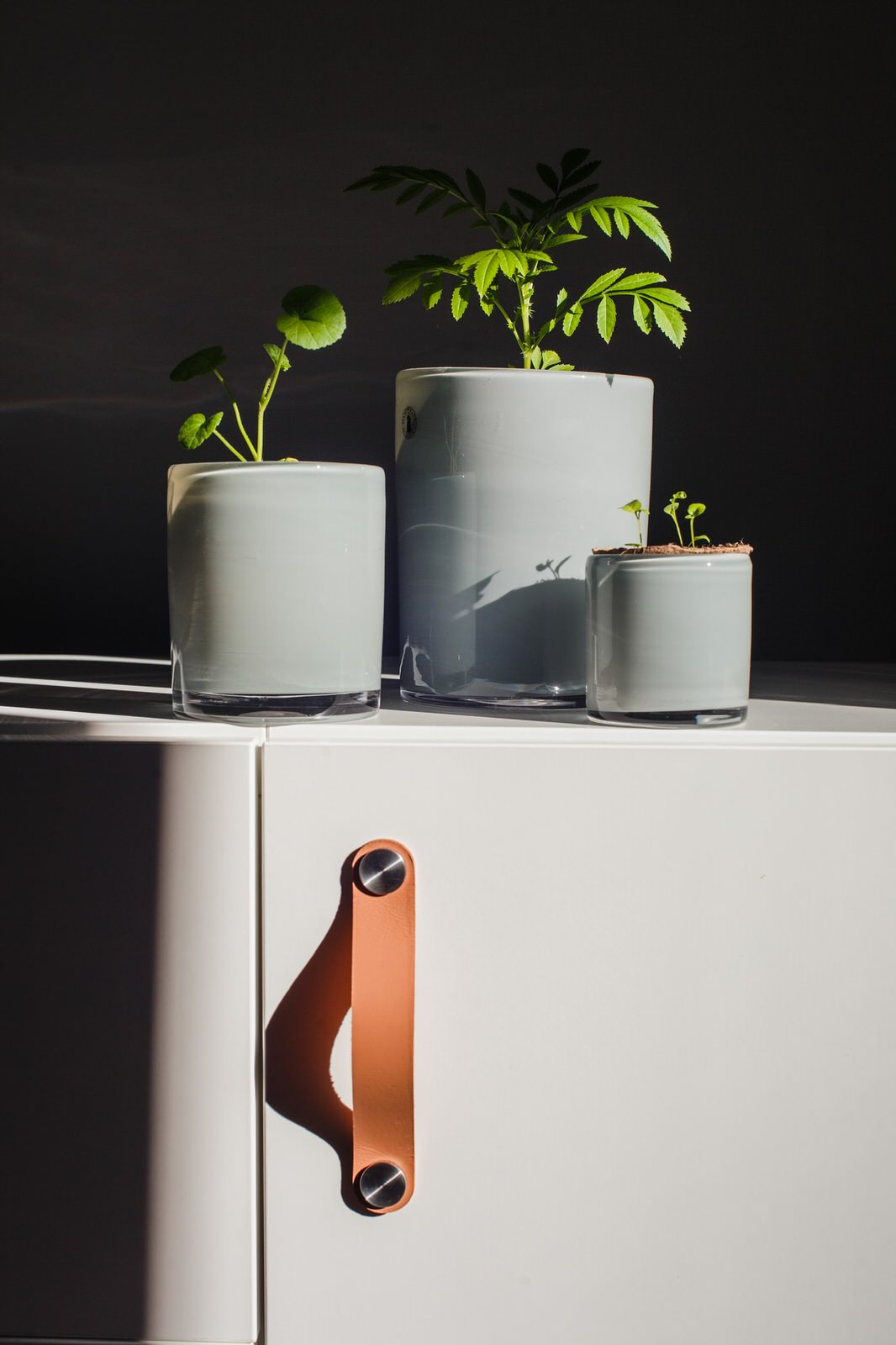 Степан Осошнов