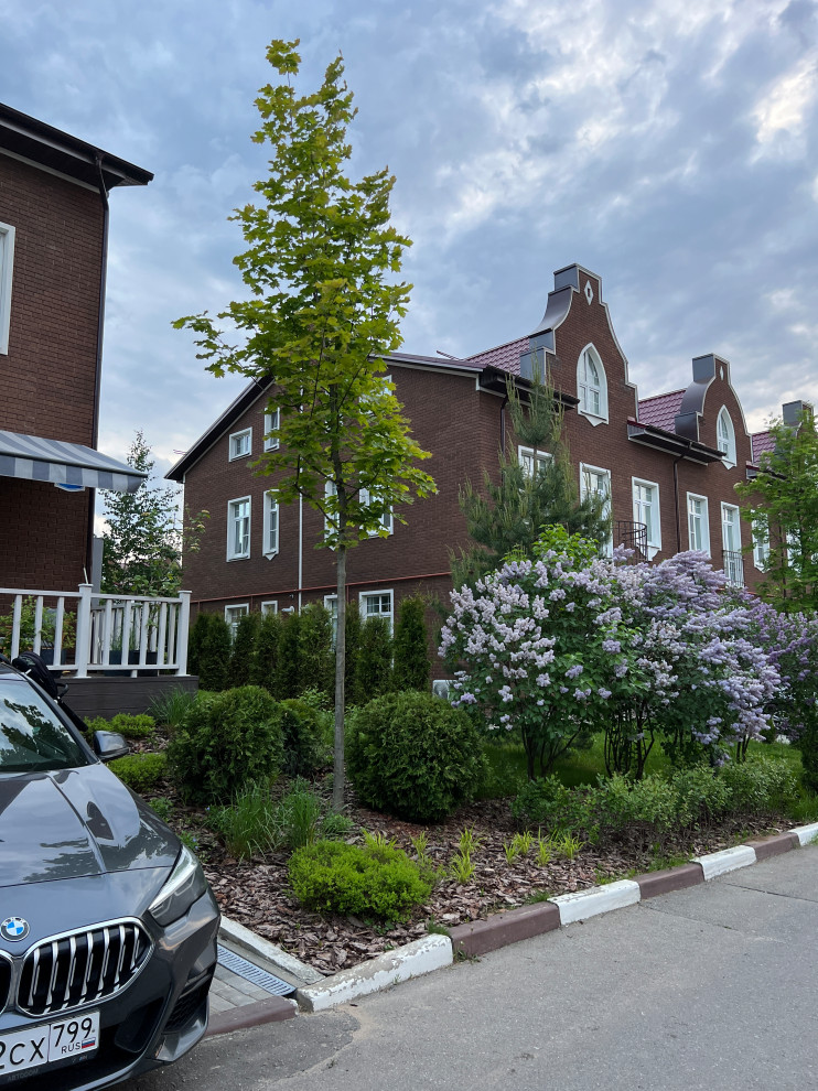 Обложка проекта: Мини-сад у таунхауса