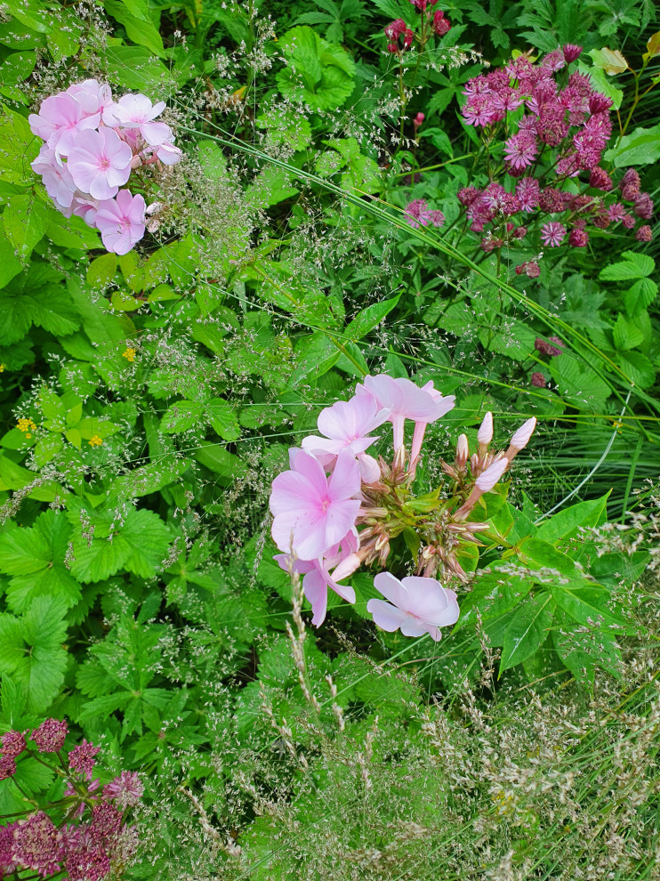 Частный сад