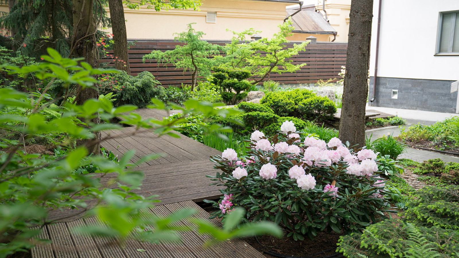 Обложка альбома: Забор