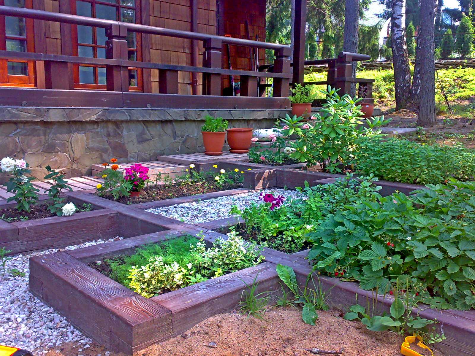 Обложка проекта: Сад с японским влиянием