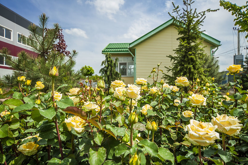 Обложка проекта: Ландшафтный дизайн 2