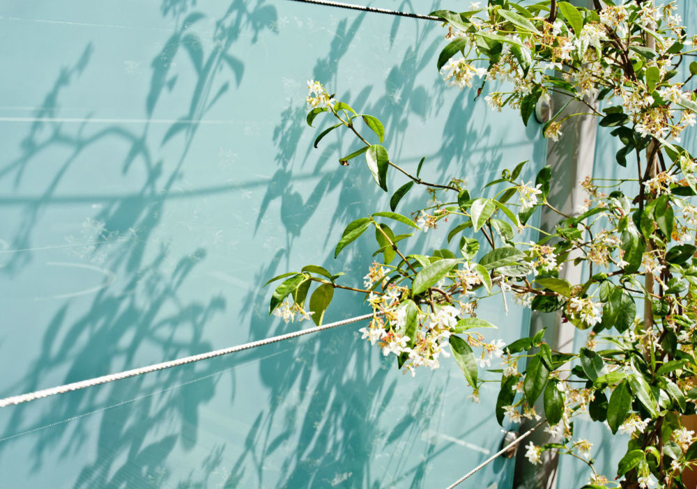 Houzz call: Покажите нам весну, которую вы видите из окна